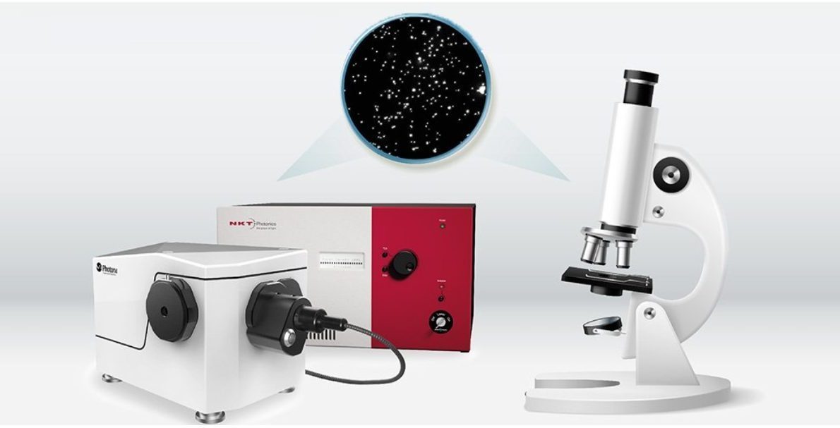 Imaging webinar