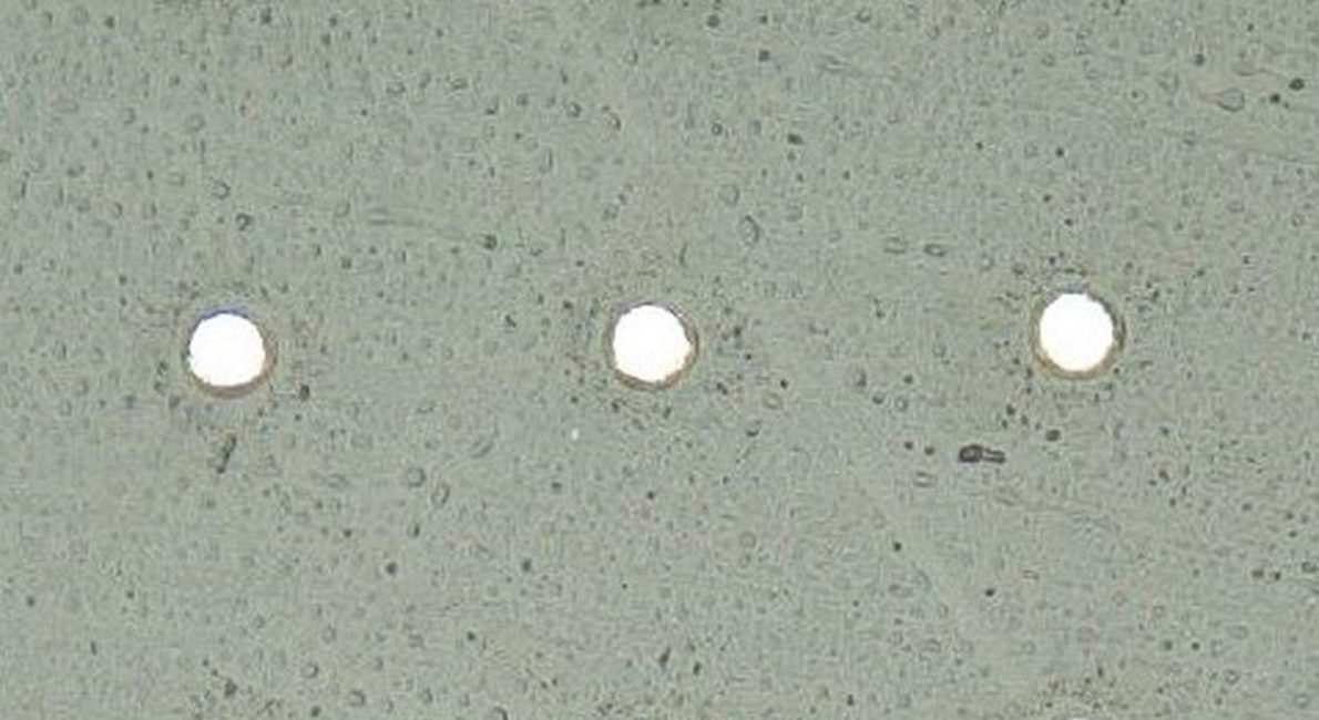Circles in a square