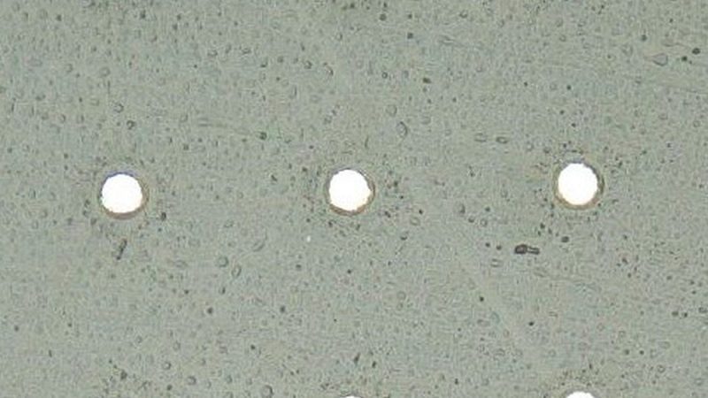 Circles in a square