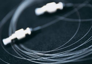 Optical fibers and modules