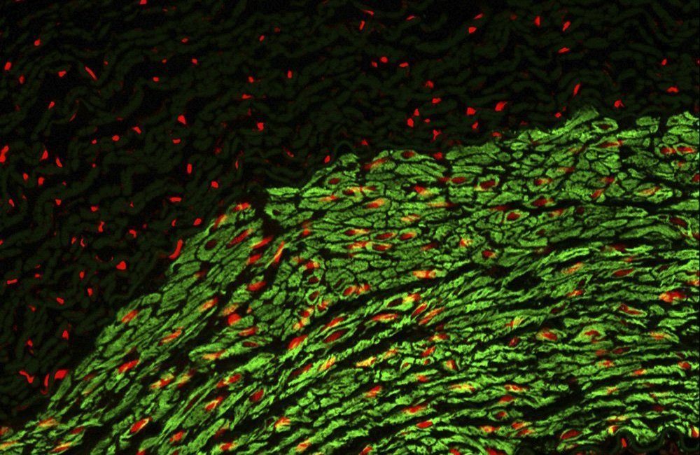 Green spectroscopy