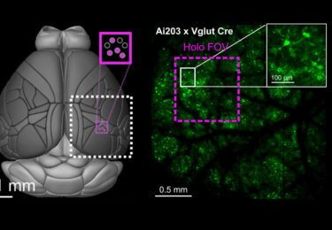 The aeroPULSE FS50 helps broaden our understanding of brain